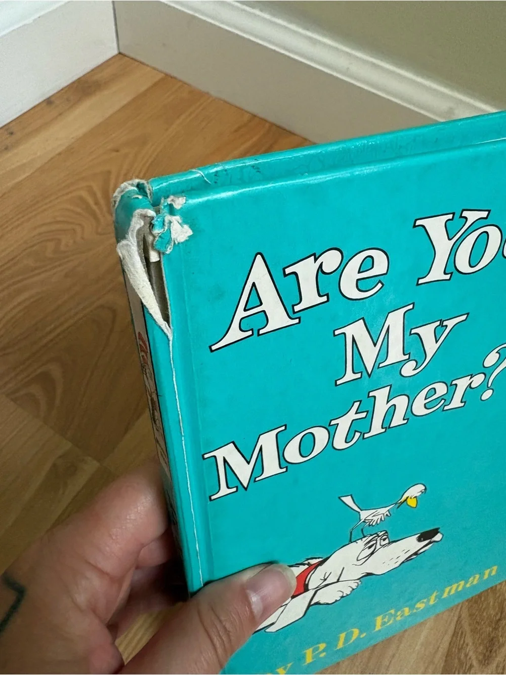 Dr. Seuss classic children